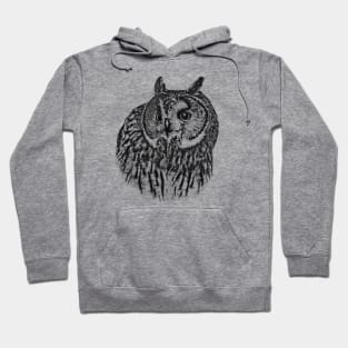 Owl Hoodie